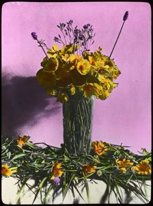 Image of Flowers in Vase, Etah